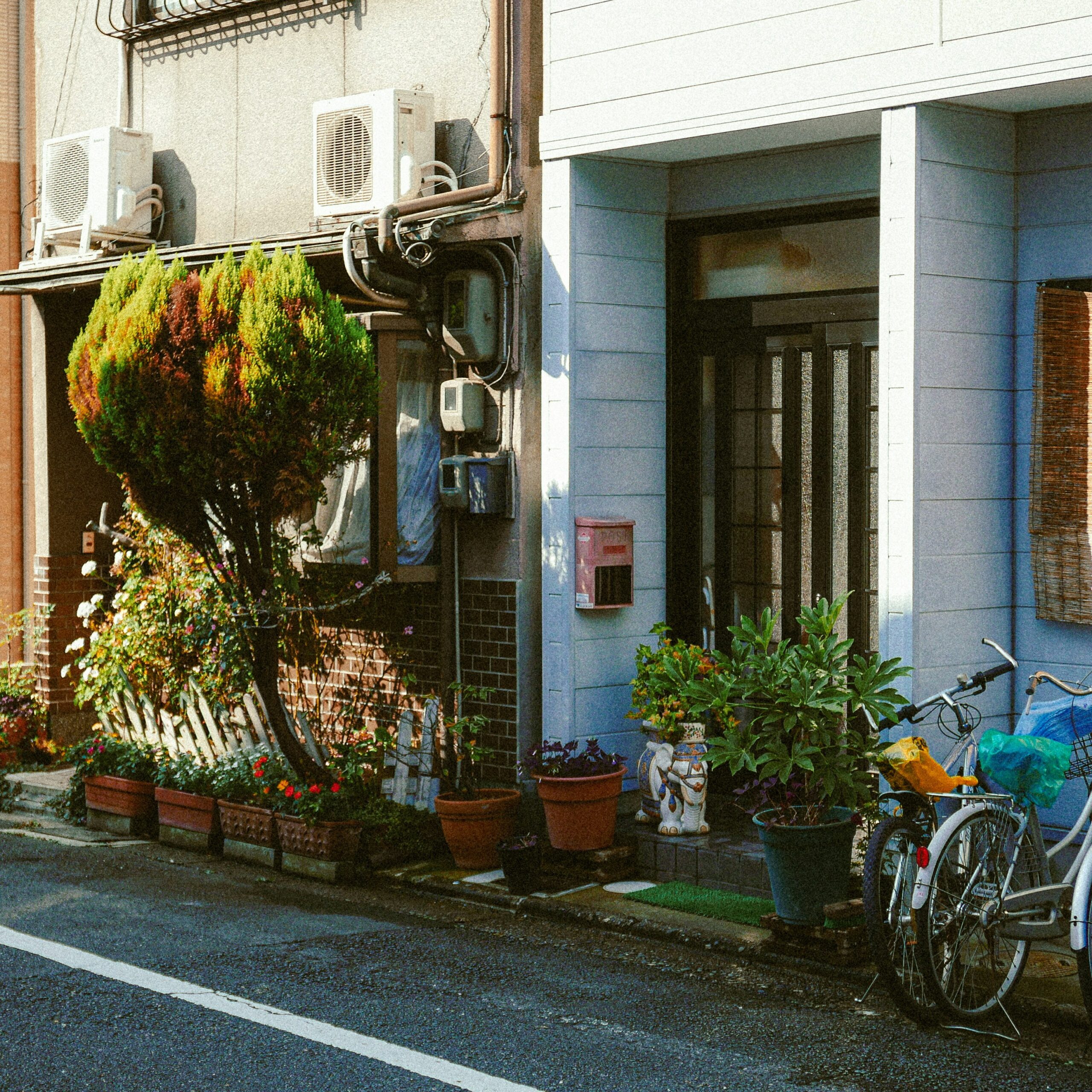 TOK-DETAIL-01 · potted plants outside a house — 1:1, 800×800