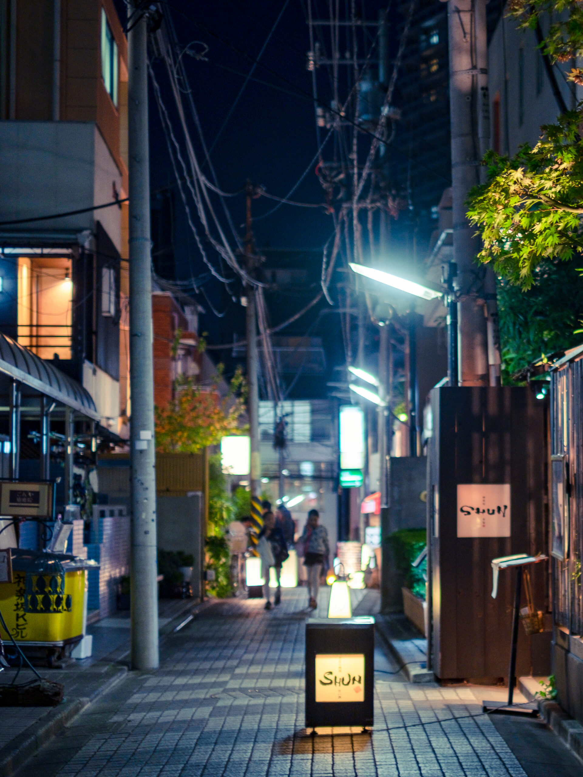 TOK-NIGHT-02 · quiet sloped street, few lights — 3:4, 1100×1466