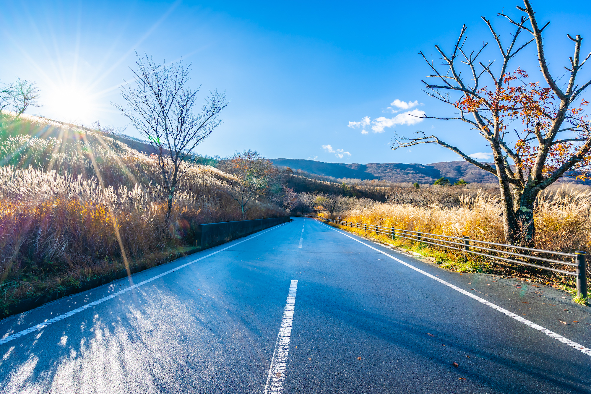 HOK-DAY-03 · a wide open road, large photo — 16:9