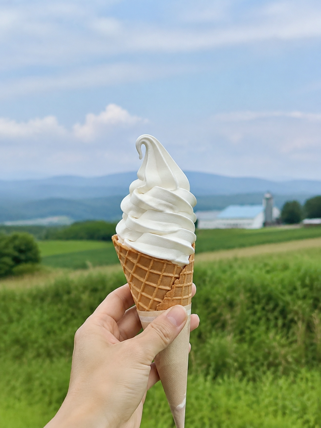HOK-EAT-03 · soft-serve ice cream — 3:4