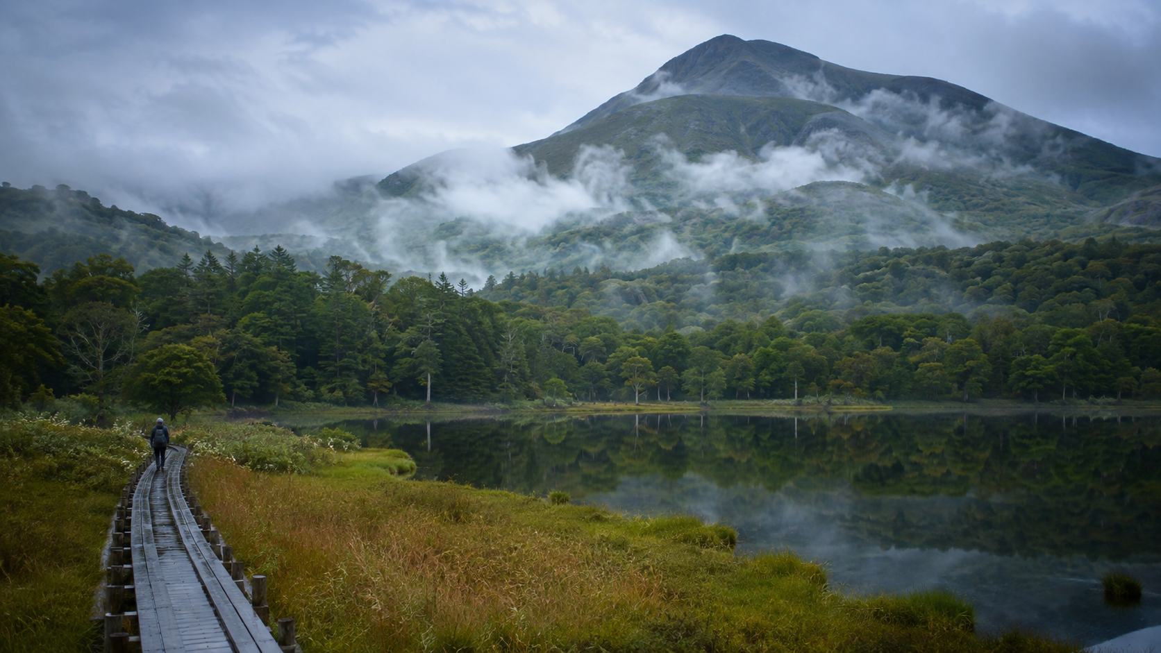 HOK-JOURNEY-03 · Shiretoko wilderness, deep travel — 16:9